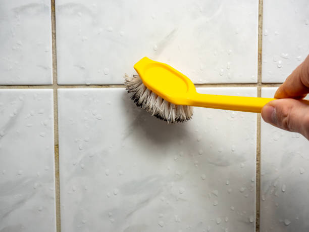 Trusted Grand Blanc, MI Mold Remediation Experts
