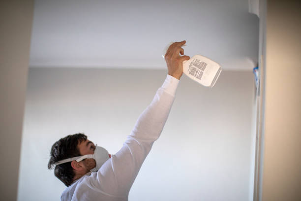 Best Kitchen Mold Remediation in Grand Blanc, MI
