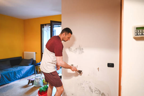 Best Mold Remediation for Schools in Grand Blanc, MI
